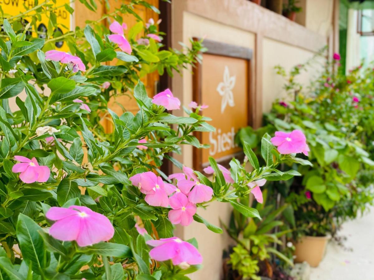 Siesta Beach Maafushi Exterior photo